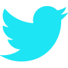 Twitter Logo